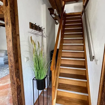 Zur Hofreite マインツ