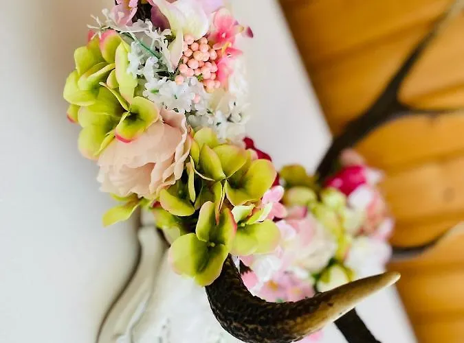 Zur Hofreite Ferienhaus Mainz