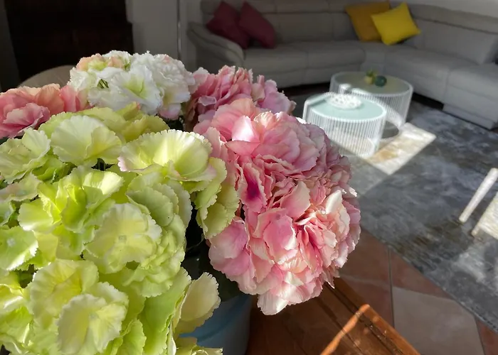 Zur Hofreite * Mainz